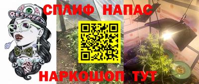 шишки Бузулук