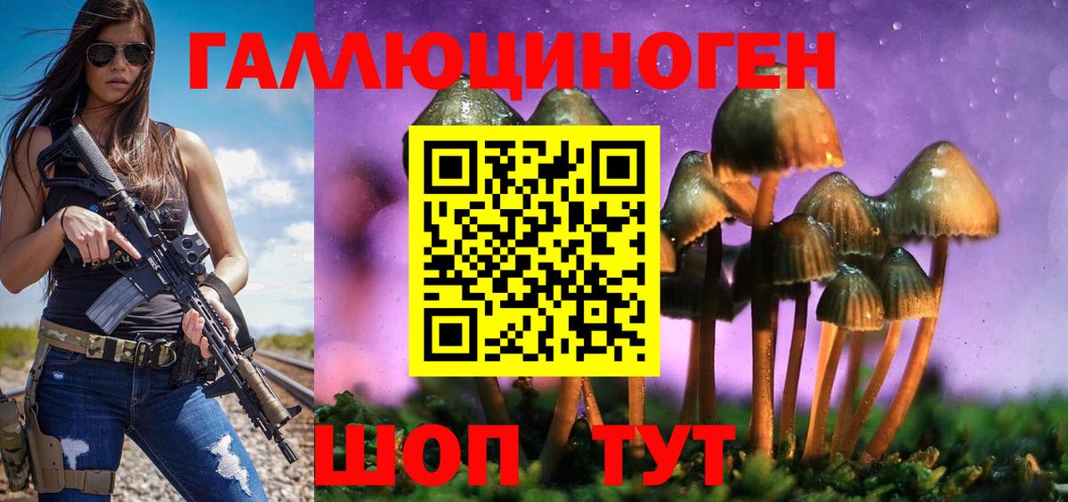 Фурманов  Псилоцибиновые грибы ЛСД  Вход с VPN 